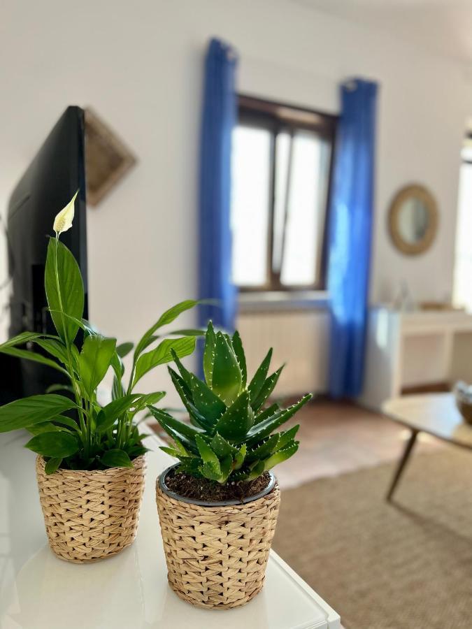 Sea Breeze House Apartment Фиумичино Екстериор снимка